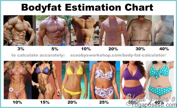 body fat estimation