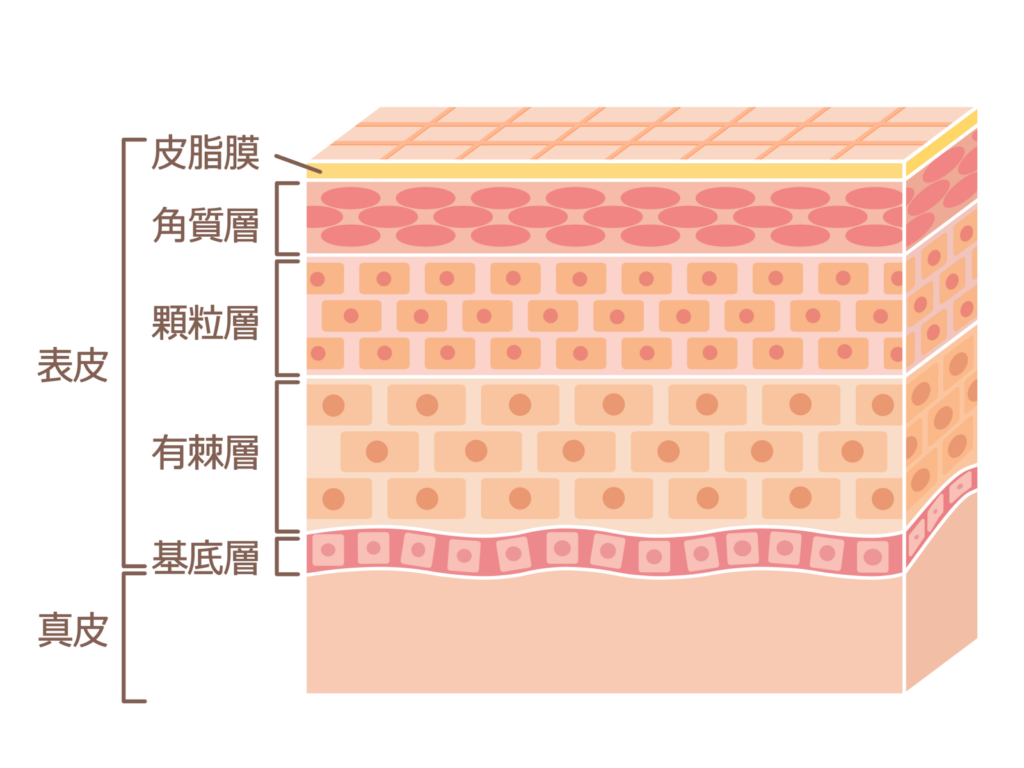 バニラフロスト【筋トレ初心者必見】フィットネスの大会に出よう!「 カラーリングについて(8)全く知らなくても困らない細胞レベルのこと #おたく 男性 女性」33 ビキニ メンズフィジーク FWJ」ビキニ メンズフィジーク : fwj ヒール 東京