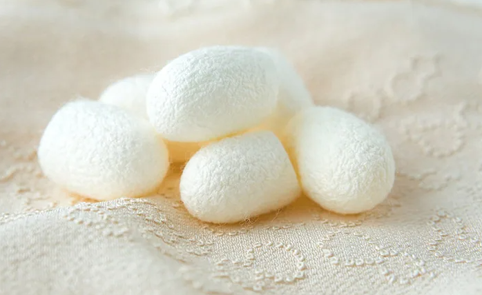 VanFROSTED バニラフロスト ビキニエリート優勝 FWJ IFBB Aprilis Championships オリンピア つけまつげ 2023 2024 フィットネス大会 ボディービルディング bikini fitness body building fwh 初心者 ヒール つけま つけまつ毛 シルク 素材