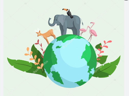 VanFROSTED バニラフロスト ビキニエリート優勝 FWJ IFBB Aprilis Championships オリンピア つけまつげ 2023 2024 フィットネス大会 ボディービルディング bikini fitness body building fwh 初心者 ヒール つけま つけまつ毛 合成繊維 地球に優しい エコ